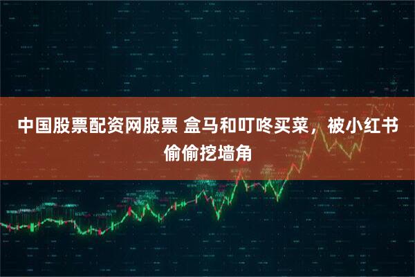 中国股票配资网股票 盒马和叮咚买菜，被小红书偷偷挖墙角