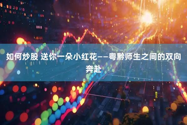如何炒股 送你一朵小红花——粤黔师生之间的双向奔赴